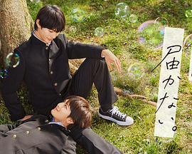 福州鼓楼网站seo优化厂家